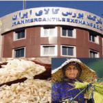 کشف نرخ عادلانه برنج و حذف واسطه‌ها در بورس کالا