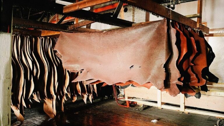 daa9d985d8a8d988d8af-d9bed988d8b3d8aad990-d8aed8a7d985-d8b5d8afd8a7db8cd990-da86d8b1d985-d8b3d8a7d8b2d8a7d986-d8b1d8a7-d8afd8b1d8a2d988_621f6e5e82e06