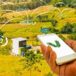 ۲ برابر ظرفیت مجاز از مراتع استفاده می شود