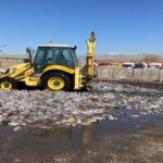 ۲۸۰ تن سرم تاریخ گذشته امحا شد