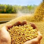 ۳۴ کارخانه خوراک دام و طیور کد صادرات دارند