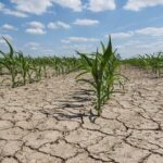 ۵۰ درصد دشت ها در معرض فرونشست هستند