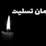 شهادت مظلومانه هموطنانمان در حادثه تروریستی کرمان تسلیت باد / 13 دی 1402