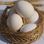 فروش تخم مرغ زیر قیمت مصوب سال گذشته/ صادرات ۲۰ هزار تن در فروردین امسال / 3 اردیبهشت 1403