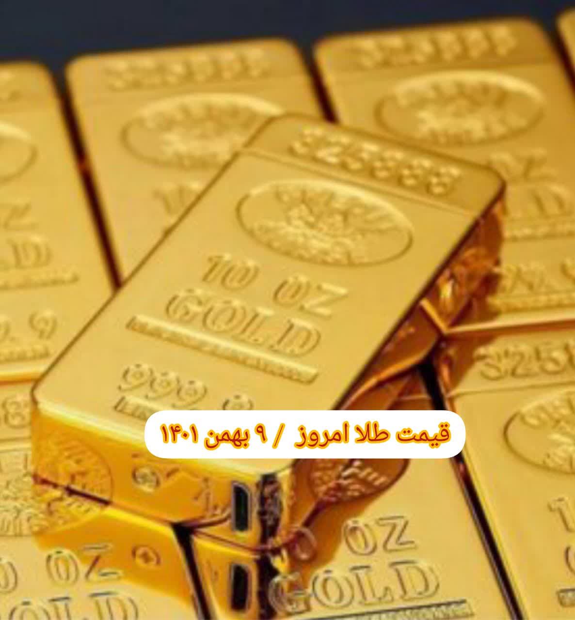 photo_2023-01-29_09-15-13