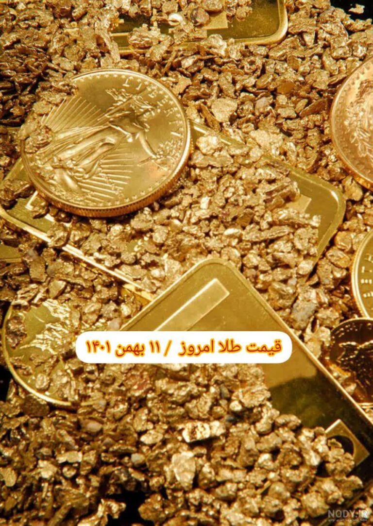 photo_2023-01-31_09-23-05