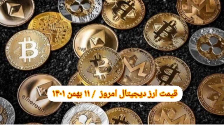 photo_2023-01-31_09-23-11