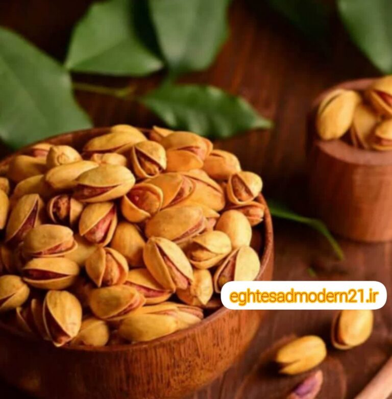 photo_2023-02-18_08-45-50