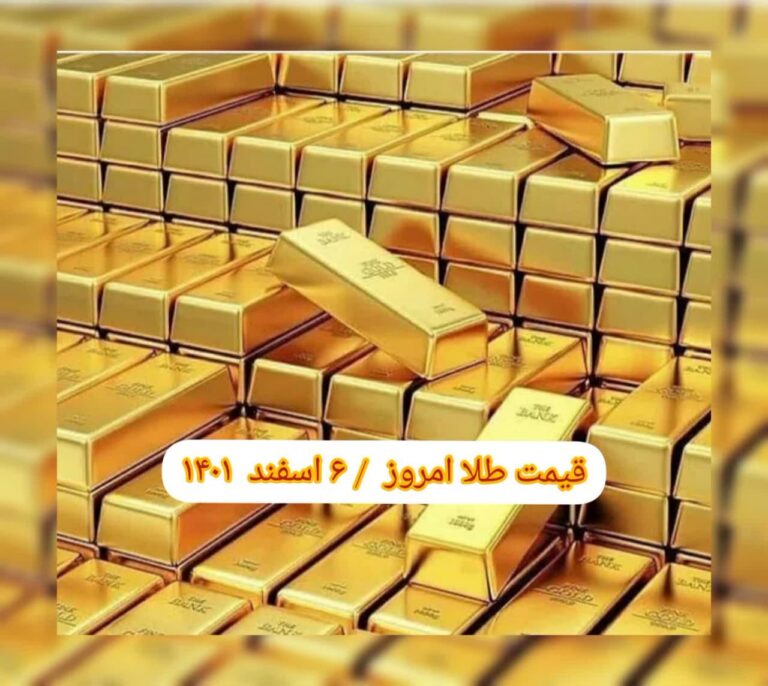 photo_2023-02-25_07-29-46