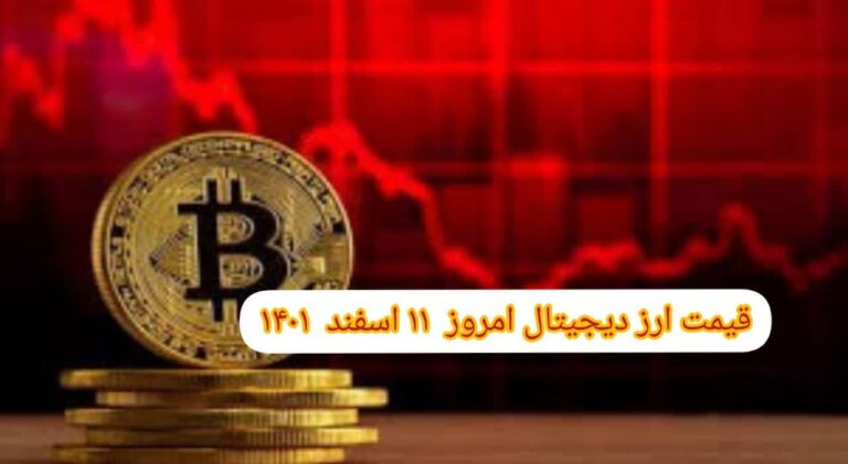 photo_2023-03-02_07-24-34