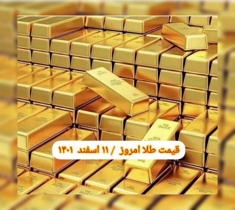 photo_2023-03-02_07-24-50