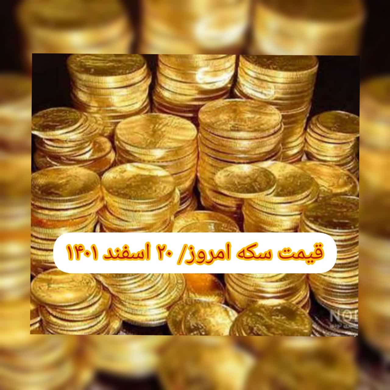 photo_2023-03-11_08-43-55