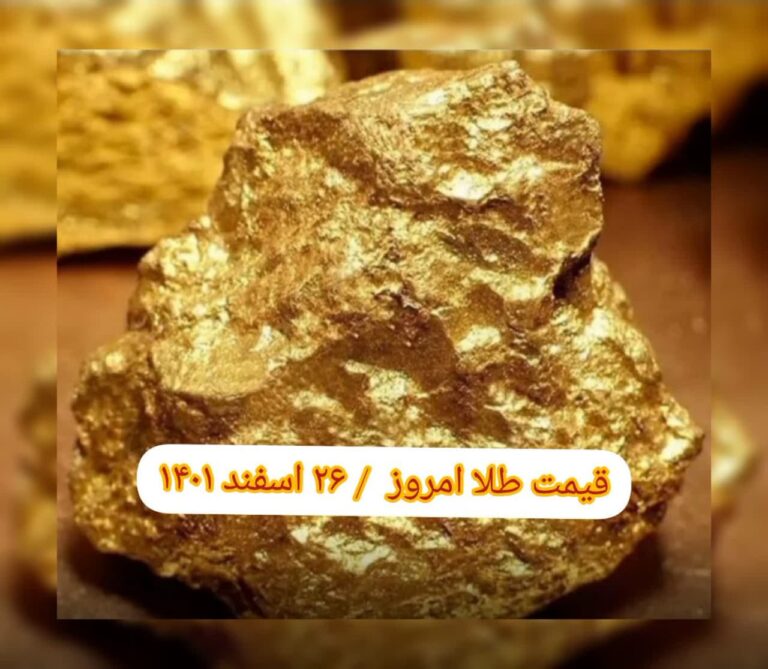 photo_2023-03-17_07-30-52