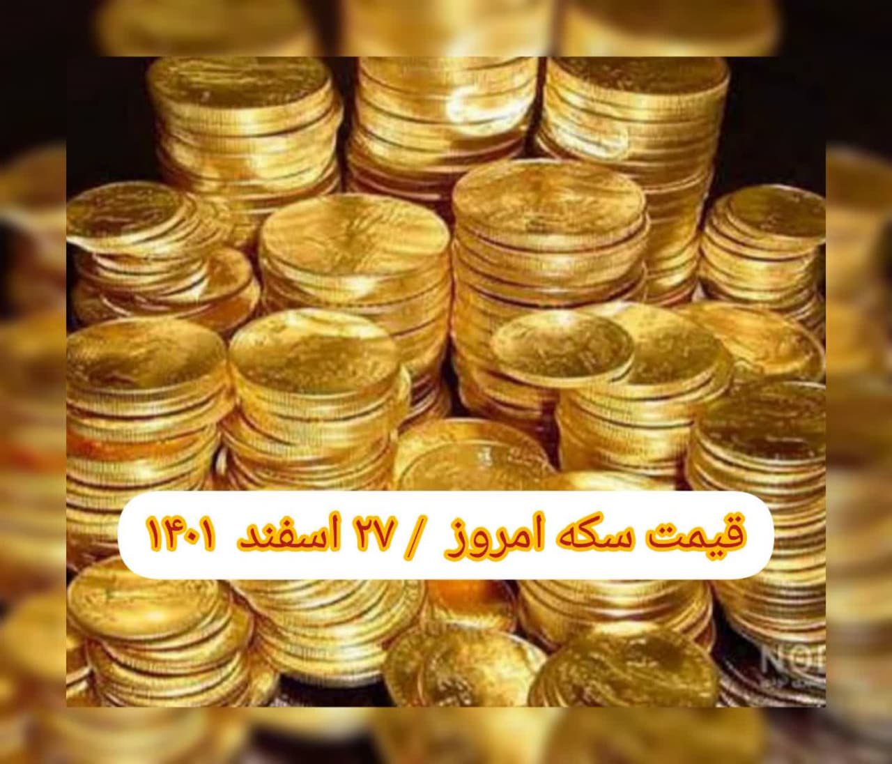 photo_2023-03-18_08-00-50