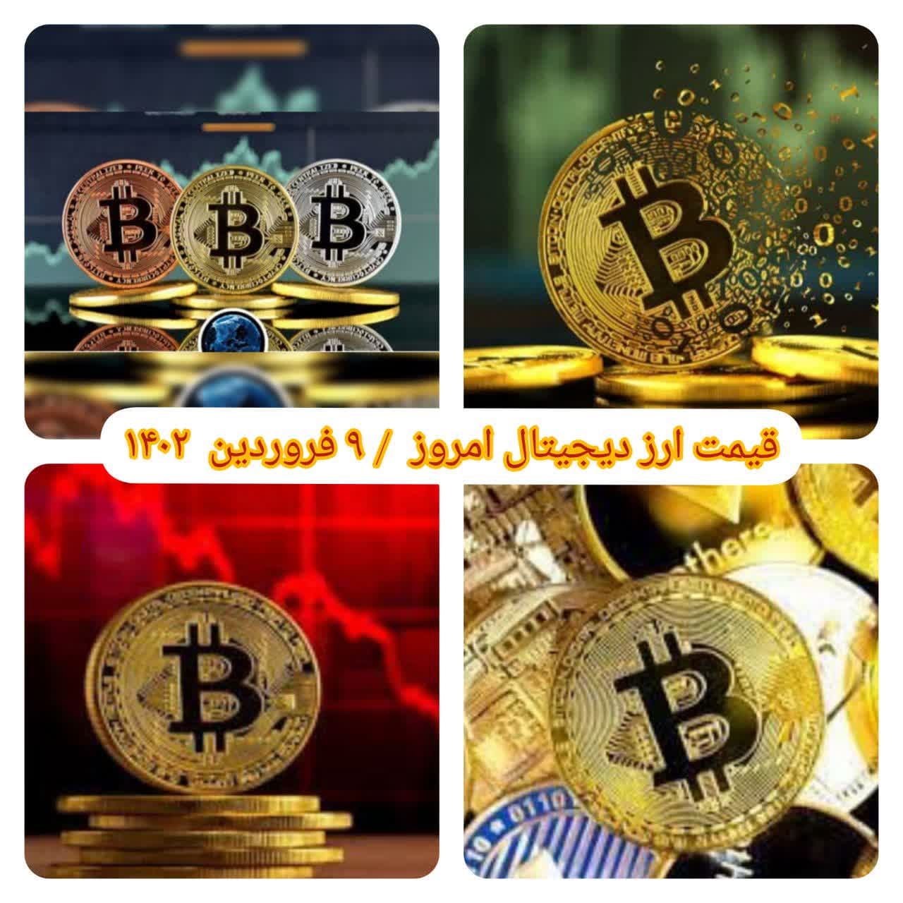 photo_2023-03-29_10-44-47