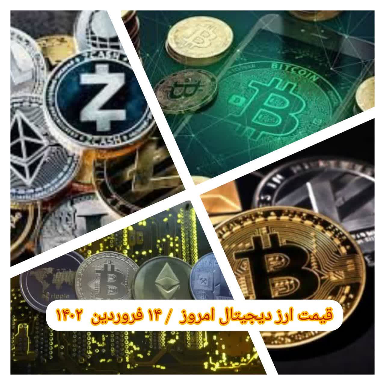 photo_2023-04-03_07-51-10