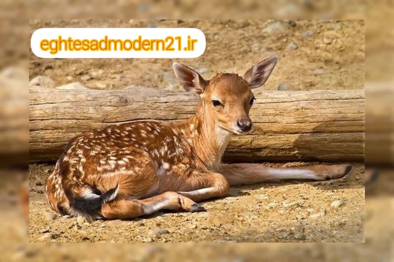 photo_2023-05-23_09-21-26