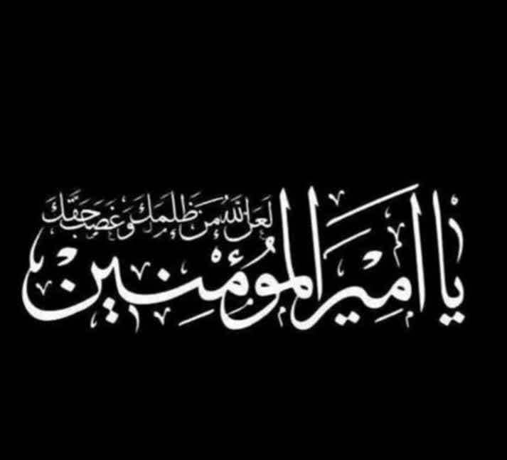 photo_2024-04-01_22-03-22