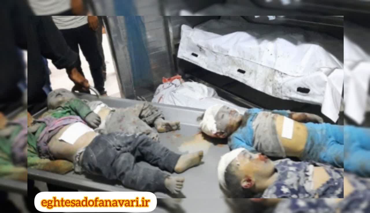 photo_2024-05-29_11-02-17