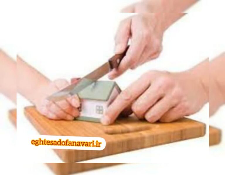 photo_2024-06-26_12-24-36