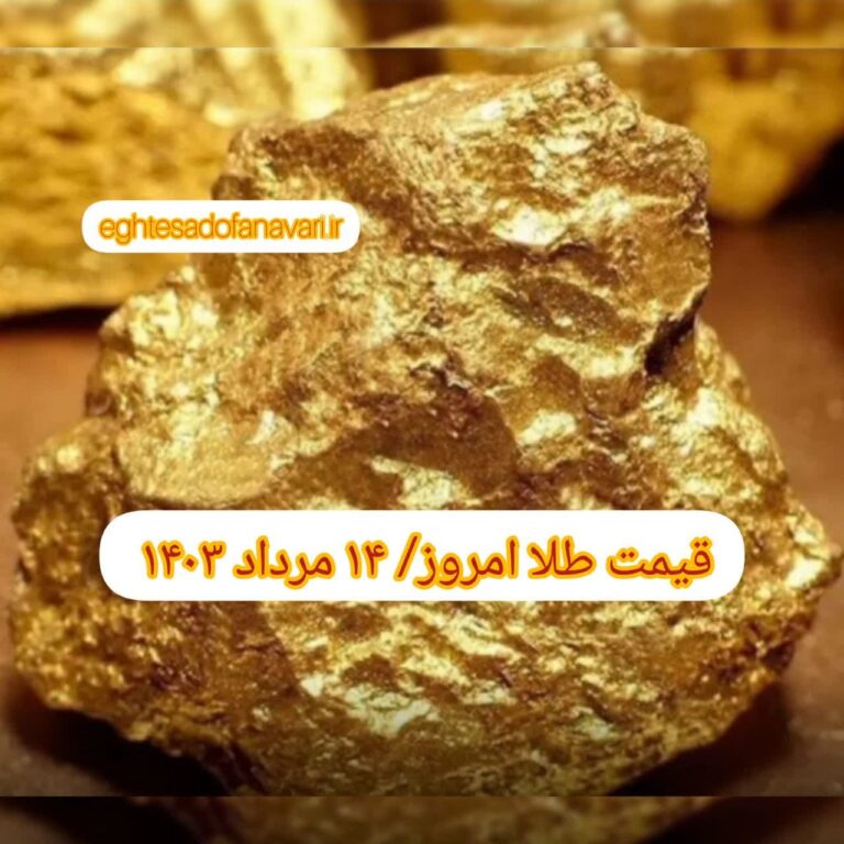 photo_2024-08-04_07-39-28