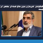 کمالوندی: غنی‌سازی بدون سلاح هسته‌ای مختص ایران نیست