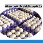 نرخ تخم‌مرغ تا پایان سال تغییر نمی‌کند/ 18 آذر 1403