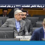 تروئیکا ناقض قطعنامه ۲۲۳۱ و برجام هستند و در مقامی نیستند که بتوانند مکانیسم حل اختلاف را فعال کنند