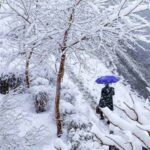 اعلام ترافیک سنگین در مسیرهای منتهی به تهران / 14 آذر 1401