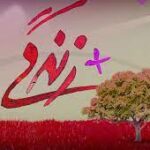 مراکز مثبت زندگی چه خدماتی را به مردم ارائه می‌دهند؟ 23 آبان 1401