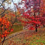 برف و باران در اغلب نقاط کشور‌/ ‌25 آبان 1401