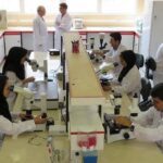 تشکیل اولین جلسه اتاق فکر علوم پایه در وزارت علوم/ بورسیه ۱۰۰ داوطلب برتر / 22 آبان 1401