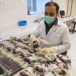 باور غلط: لوازم مصرفی در انتقال خون ناقل کرونا است / 21 مهر 1401