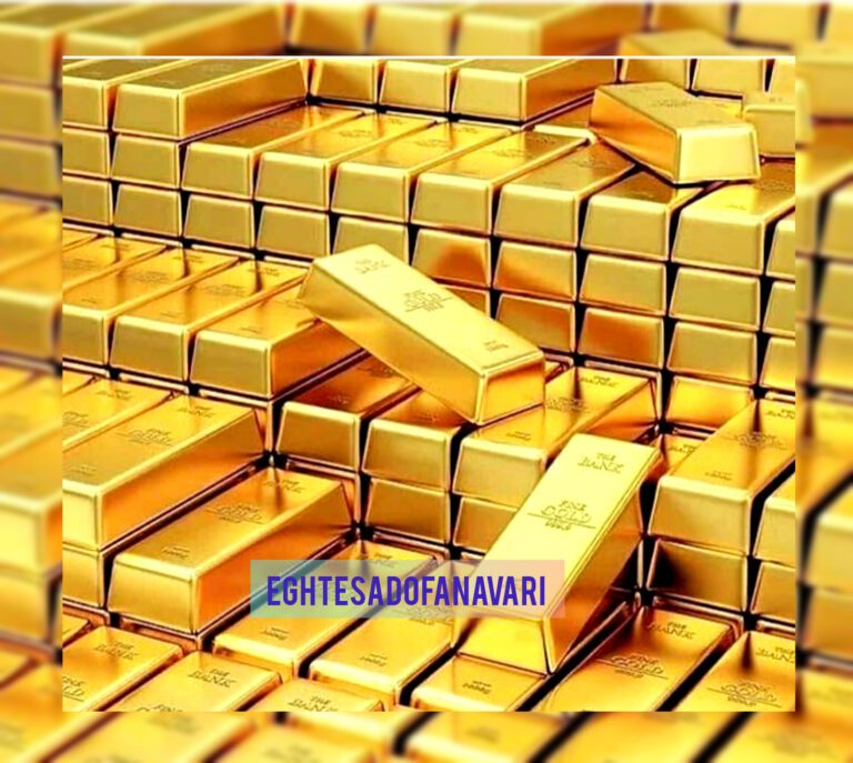 InShot_20251001_205211233