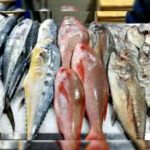 📈 از ۶۰ هزار تا ۵۴۰ هزار تومان! جهش قیمت انواع ماهی در بازار تهران