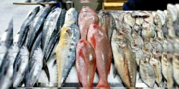 📈 از ۶۰ هزار تا ۵۴۰ هزار تومان! جهش قیمت انواع ماهی در بازار تهران