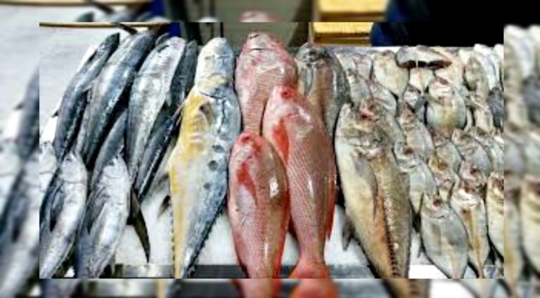 InShot_20251018_190427789