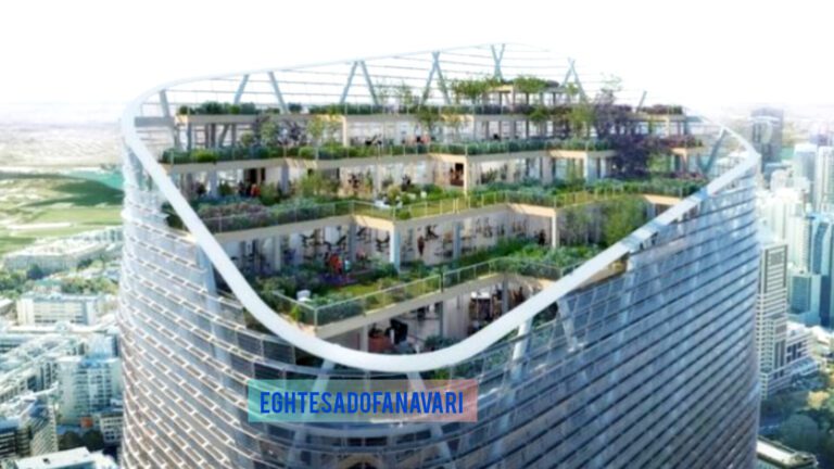 InShot_20251109_111644910