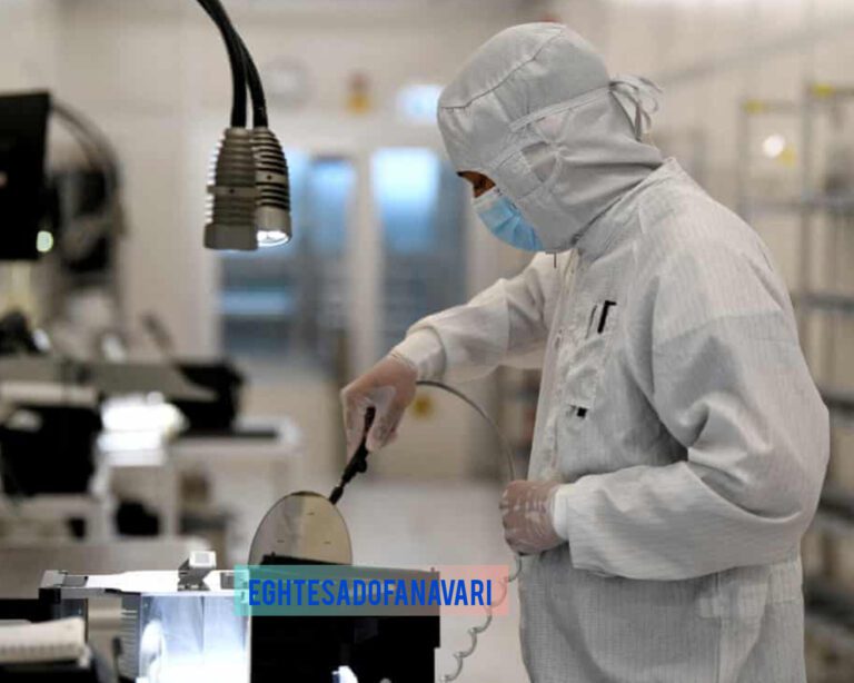 InShot_20251111_145153206