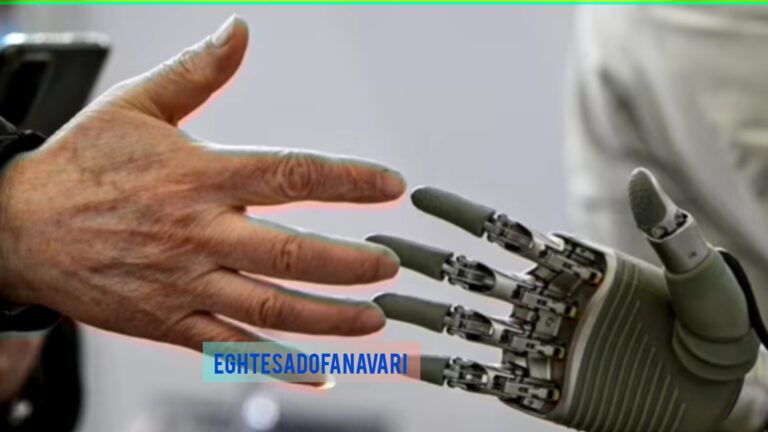 InShot_20251111_150153251