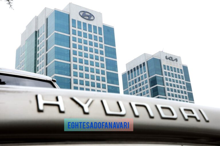 InShot_20251128_113513051