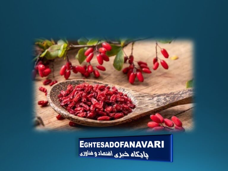 ppt81F