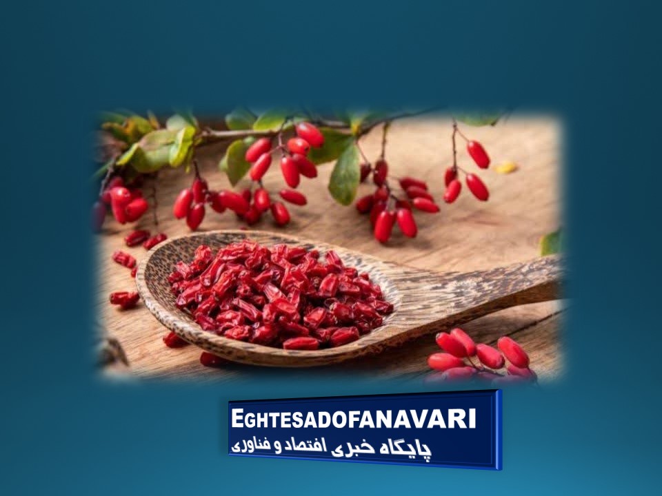 ppt81F