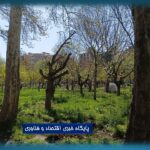 13 فروردین روز طبیعت گرامی باد