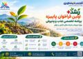 فراخوان پاییزی «رشد پلاس» برای پذیرش و راهبری تیمها و شرکتهای فناور منتشر شد