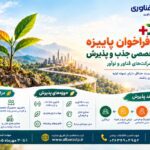 فراخوان پاییزی «رشد پلاس» برای پذیرش و راهبری تیم‌ها و شرکت‌های فناور منتشر شد